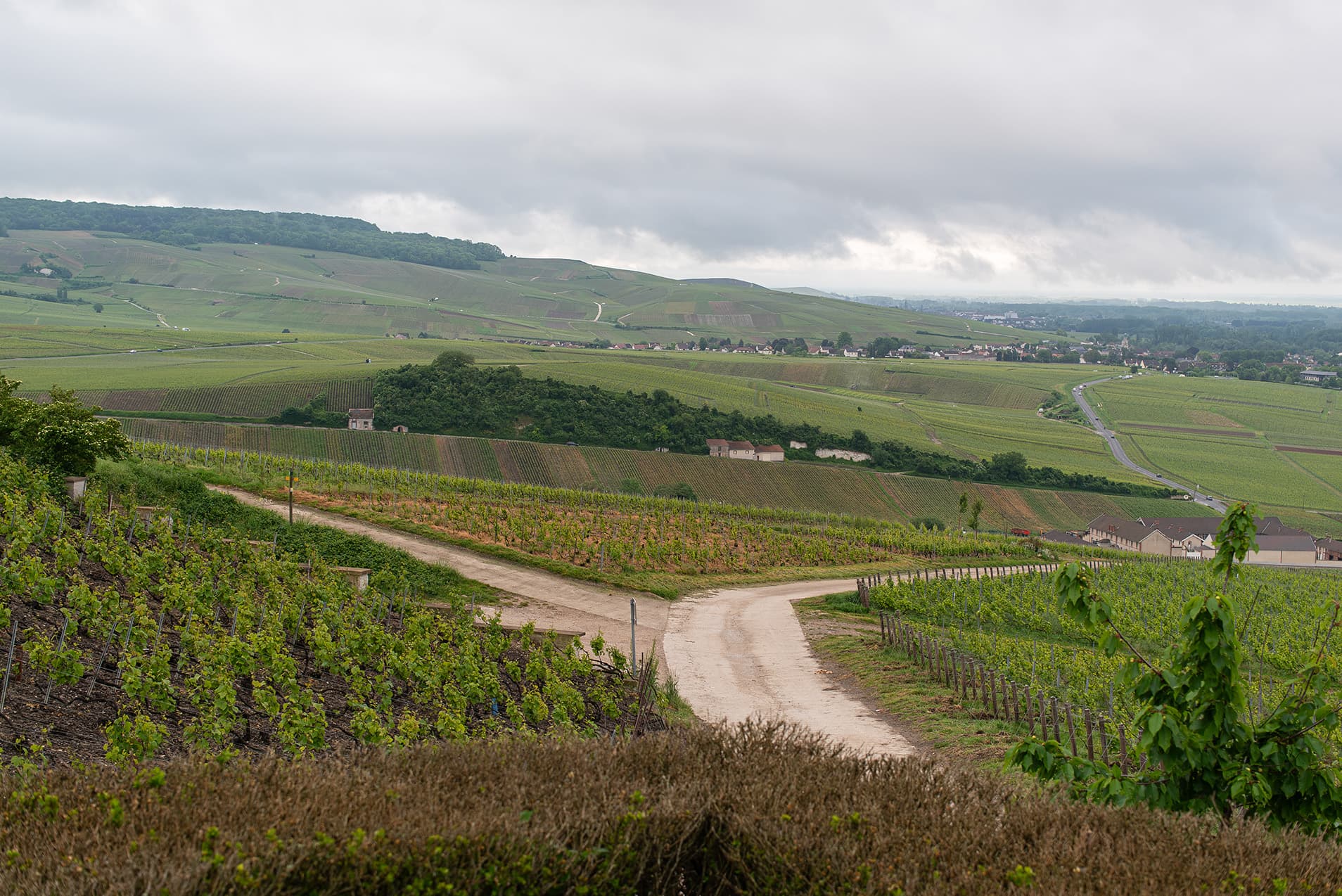 Bubbels van Frits voor ieder moment